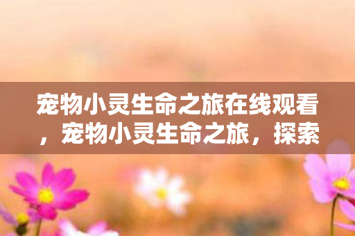 宠物小灵生命之旅在线观看图片