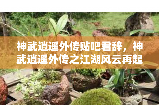 神武逍遥外传贴吧君辞，神武逍遥外传之江湖风云再起—深入解析游戏新篇章