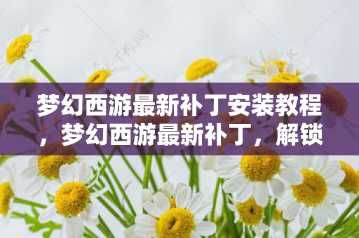 梦幻西游最新补丁安装教程，梦幻西游最新补丁，解锁全新游戏体验