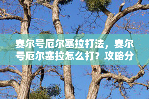 赛尔号厄尔塞拉怎么打图片