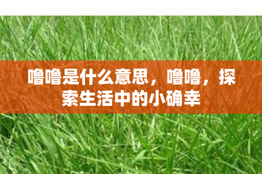 探索生活中的小确幸图片