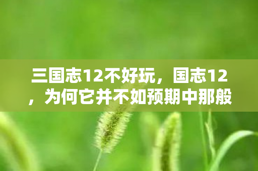 三国志12不好玩，国志12，为何它并不如预期中那般有趣？