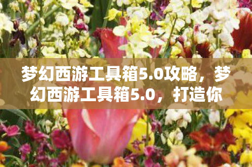 梦幻西游工具箱5.0攻略，梦幻西游工具箱5.0，打造你的专属游戏助手