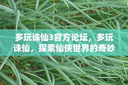 多玩诛仙3官方论坛，多玩诛仙，探索仙侠世界的奇妙之旅