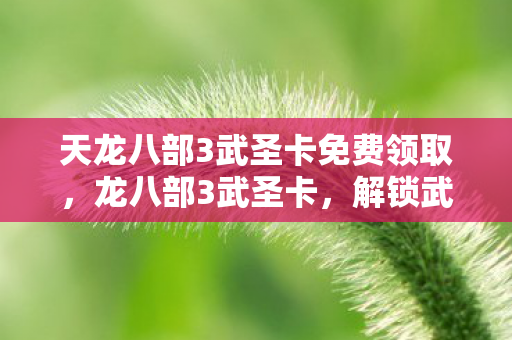 天龙八部3武圣卡免费领取图片