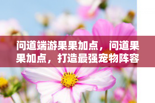 问道端游果果加点图片