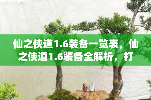 打造最强战斗力的关键图片