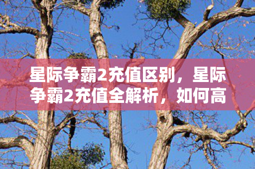 星际争霸2充值全解析图片