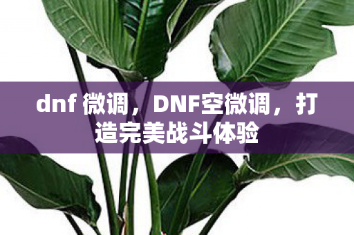 打造完美战斗体验图片