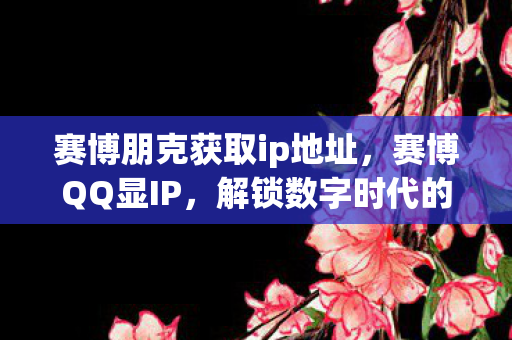 解锁数字时代的隐私保护新挑战图片