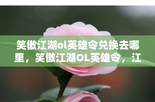 笑傲江湖ol英雄令兑换去哪里图片