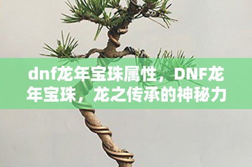 dnf龙年宝珠属性图片