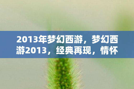 2013年梦幻西游图片