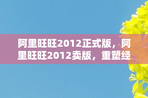 阿里旺旺2012正式版图片