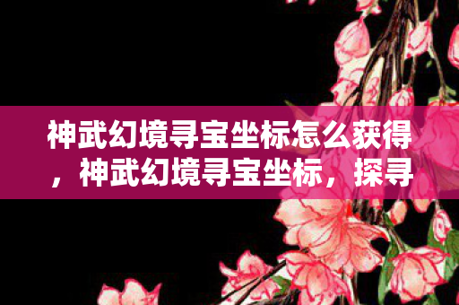 神武幻境寻宝坐标怎么获得，神武幻境寻宝坐标，探寻神秘宝藏的终极指南