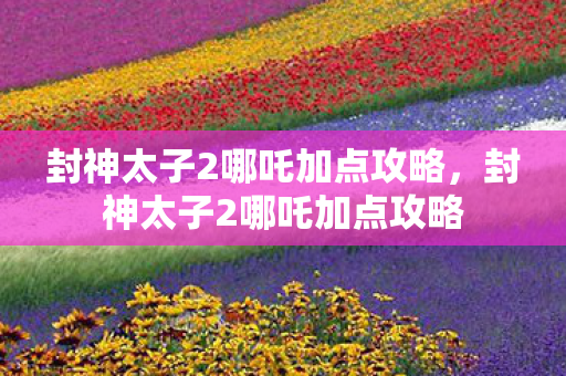 封神太子2哪吒加点攻略图片