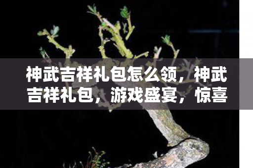 神武吉祥礼包怎么领，神武吉祥礼包，游戏盛宴，惊喜连连