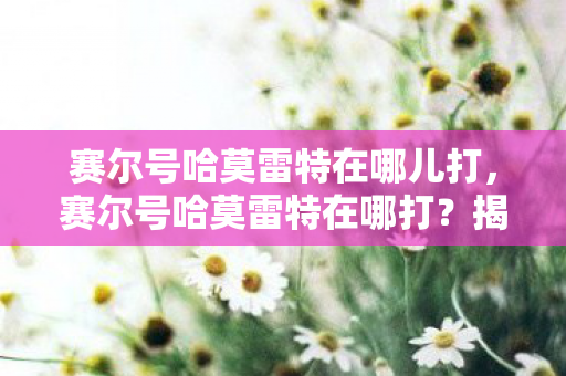 赛尔号哈莫雷特在哪儿打图片