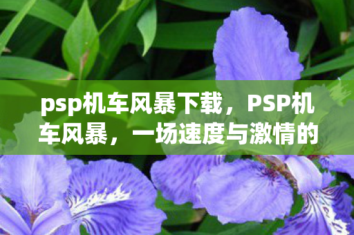 一场速度与激情的盛宴图片