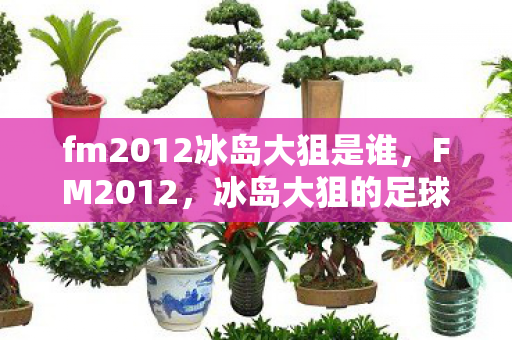 fm2012冰岛大狙是谁图片
