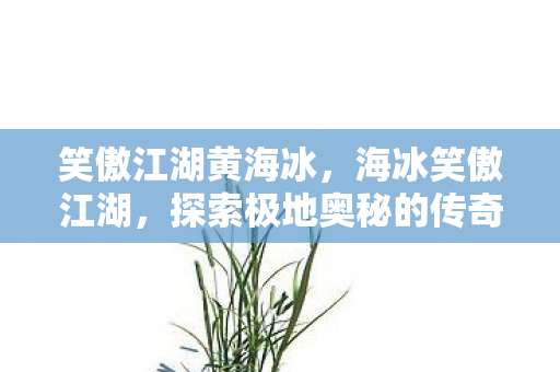 探索极地奥秘的传奇之旅图片