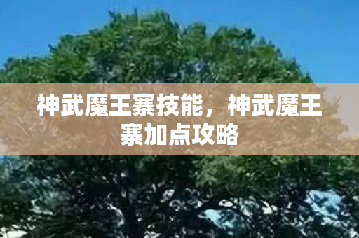 神武魔王寨技能，神武魔王寨加点攻略