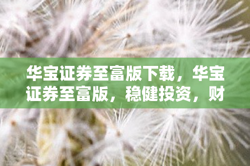 华宝证券至富版下载图片