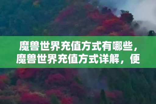 魔兽世界充值方式有哪些图片