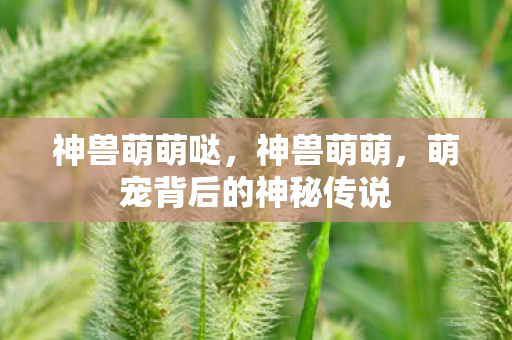 萌宠背后的神秘传说图片