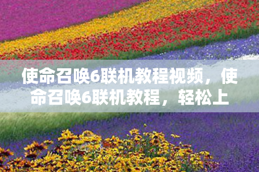 使命召唤6联机教程视频图片