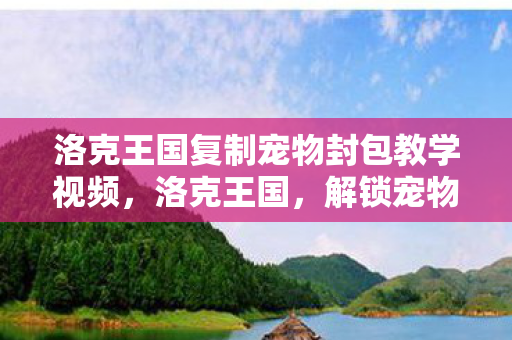 洛克王国复制宠物封包教学视频图片