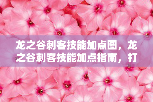 龙之谷刺客技能加点指南图片