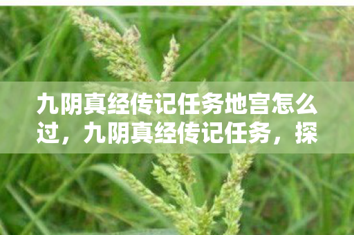 九阴真经传记任务地宫怎么过图片