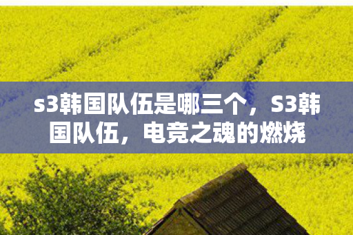 s3韩国队伍是哪三个图片