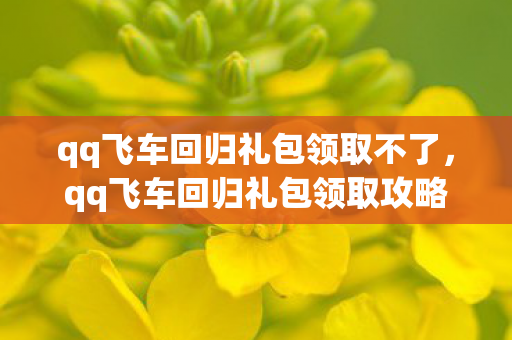 qq飞车回归礼包领取不了图片