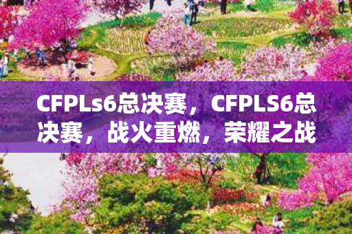 CFPLs6总决赛图片