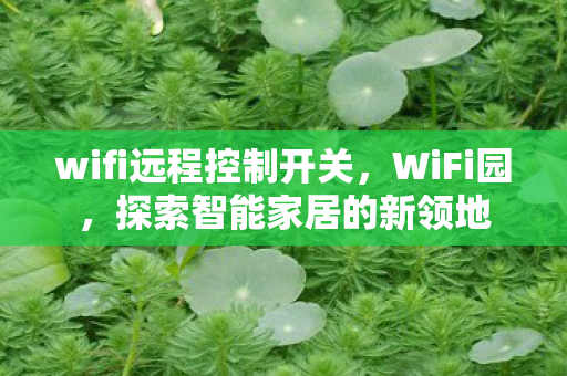 wifi远程控制开关图片