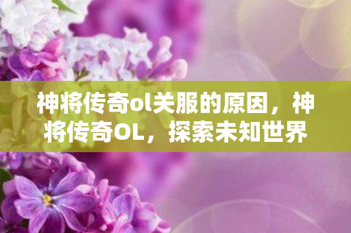 神将传奇ol关服的原因图片