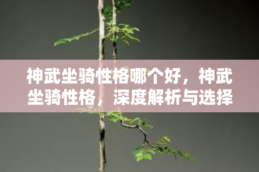 神武坐骑性格哪个好，神武坐骑性格，深度解析与选择指南