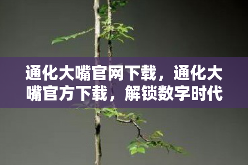 解锁数字时代的便捷娱乐图片