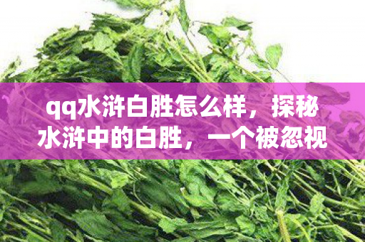 一个被忽视的传奇人物图片