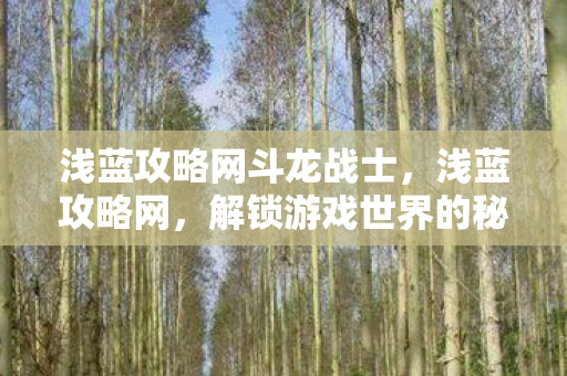 浅蓝攻略网斗龙战士图片