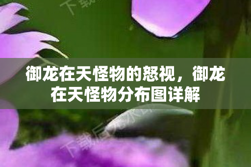 御龙在天怪物分布图详解图片