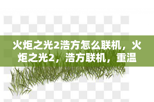 火炬之光2浩方怎么联机图片