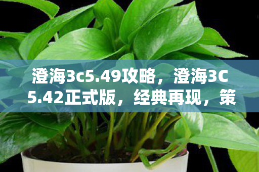 策略与激情的碰撞图片