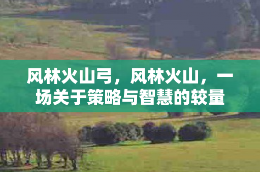 一场关于策略与智慧的较量图片