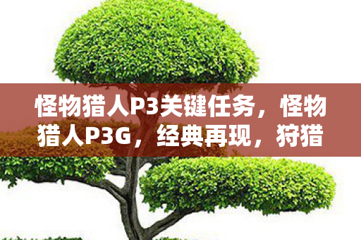 怪物猎人P3关键任务图片