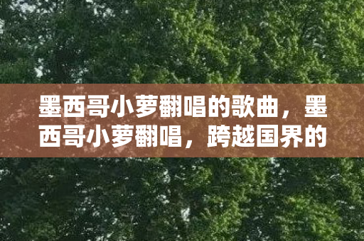 墨西哥小萝翻唱的歌曲图片