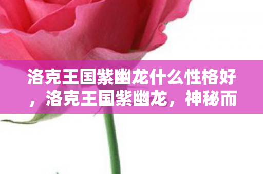 洛克王国紫幽龙什么性格好图片