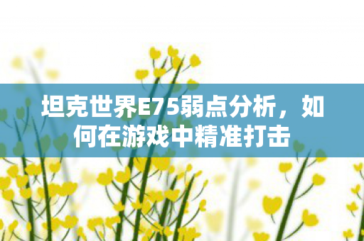 坦克世界E75弱点分析，如何在游戏中精准打击